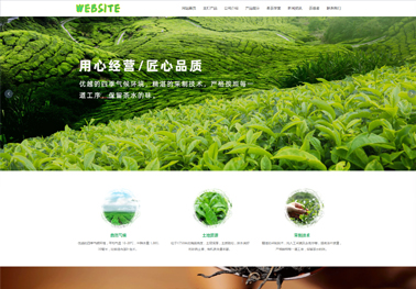 茶叶（带手机站）