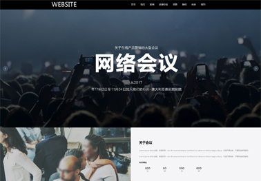 网络会议【营销网络】