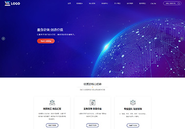 网络营销【营销网络】