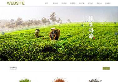 茶叶（带手机站）